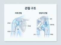 닥터존정형외과의원 대구