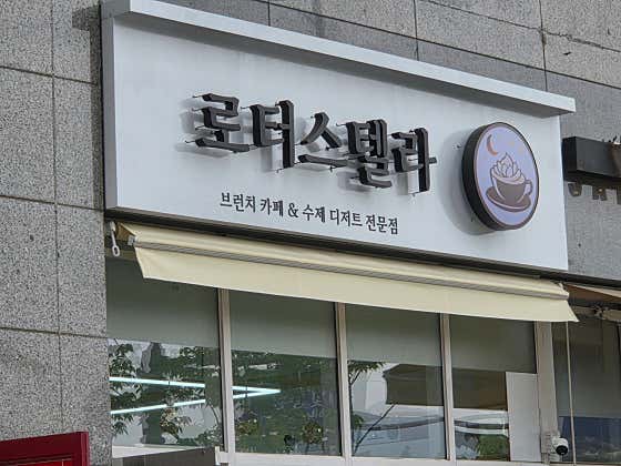 로터스텔라 사진