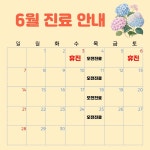 보라이비인후과의원