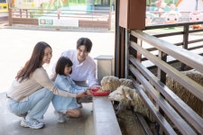 농협경제지주 안성팜랜드
