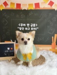 아이멍쥬