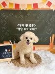 아이멍쥬
