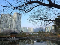매곡청담부동산공인중개사사무소