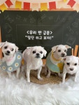 아이멍쥬