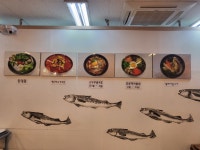 오로지 생태한마리