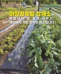 마장왕족발