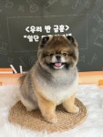 아이멍쥬