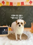아이멍쥬