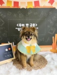 아이멍쥬