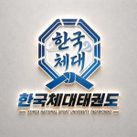 한국체대태권도장