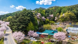 서곡캠캉스