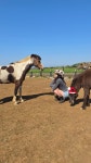 풀스테이더제주