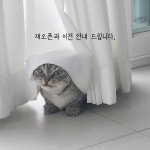 묘발소