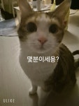 똥광노래방