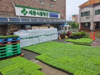 세종식물병원
