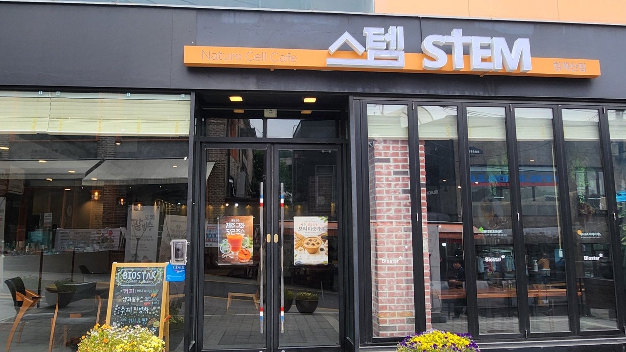 네이처셀 카페 스템 청계산점