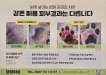댕댕이숲