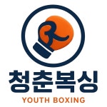 청춘복싱