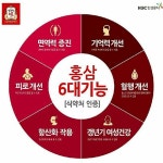 정관장평촌학원가점 | 정관장 평촌학원가점