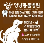 멍냥동물병원