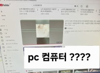 뉴욕동물병원