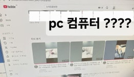 뉴욕동물병원