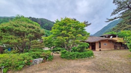 둥굴레펜션