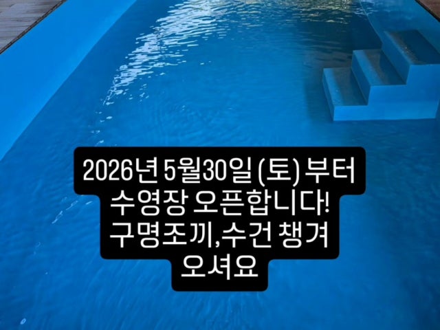 놀다가개