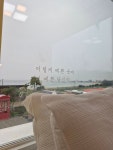 꿈꾸는헤밍웨이