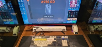 스위티PC방시즌2