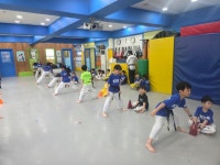 한국체대화랑태권도