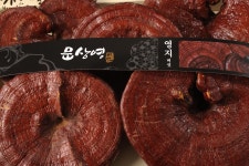 한국기능성버섯산지유통센터