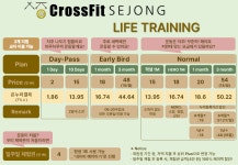 크로스핏 세종
