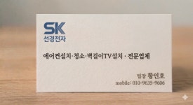 선경전자