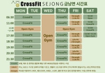 크로스핏 세종