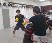 팀레오