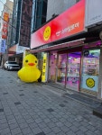 스마일토이