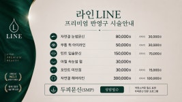 라인