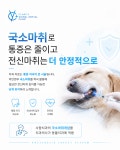 클라리티 동물치과병원