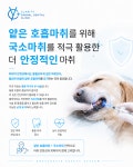 클라리티 동물치과병원