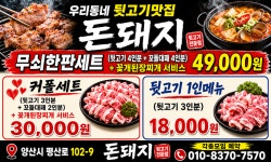 돈돼지