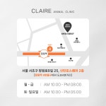 클레어동물병원