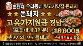 돈돼지