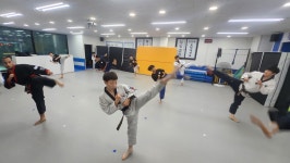 용인대초당태권도