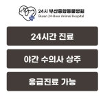 부산종합동물병원
