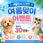똥강아지 김해강아지분양 고양이분양