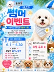 플랜멍 강아지분양 대구본점