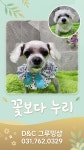 D&C그루밍샵