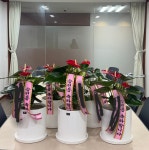진흥꽃화원