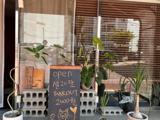 고양이특공대